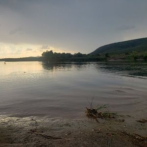 Meet your Posher, Cody